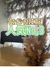 エステ人気No3小顔リンパマッサージ+毛穴洗浄+フェイシャル脱毛 【1回】
