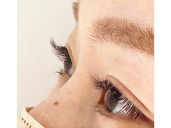 アリナラッシュ(ARINA LASH)/フルカラー　ダークブラウン