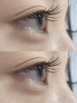 トゥーラッシュ バイ ビーハ(toolash by beha)/