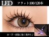【LED】LEDフラット100本/120本⇒￥7050/￥7600｜人気No.1デザイン　束感も◎