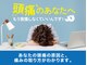 あすいくの写真