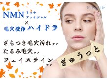 ケイ プレジール