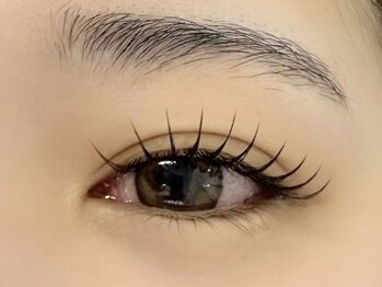 ファヴォリ 三軒茶屋店(Favori)/ フラットマットラッシュ140本