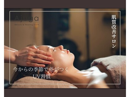 アジュガ(Ajuga)の写真