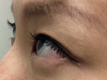 シュシュ(chou chou)/セーブル120本(chouchou吉祥寺)