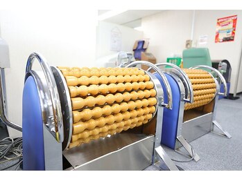 ボディケアスクール スワン/コンセラン（引き締めマシン）