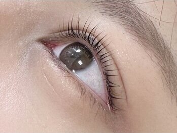 エイトアイラッシュ 札幌店(eight eyelash)/ラッシュリフト