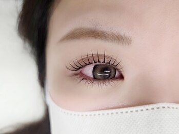 チャイ(Chay)/メーテルロッド