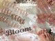 ブルーム(Bloom)の写真