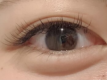 カラン 焼津店(CALIN)/フラットラッシュ120本