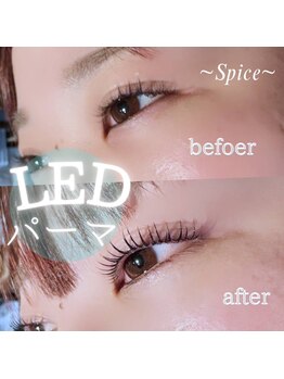 スパイス 梅田茶屋町店(Spice)/LEDパーマ
