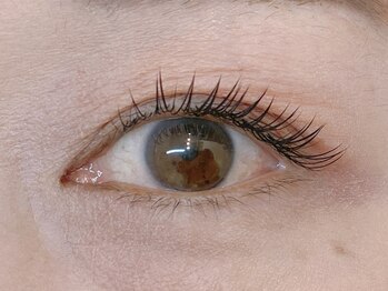 春日井まつげ/フラットラッシュ