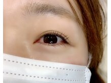 ルピナス(Lupinus)/LEDフラットラッシュ100本