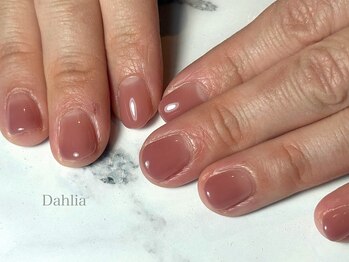 ダリア(Dahlia)/ちゅるんグラデーション