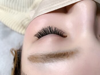 チルシー(Chilsea)/ダイアナラッシュ140束