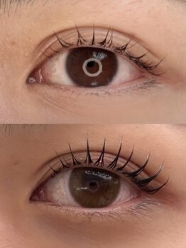 コチョウラン(KOCHOURAN)/before/after