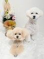 ミルキーココ(milky Coco)&nbsp;店名は実家にいる愛犬達みるちゃん、ここちゃんから来てます^ ^