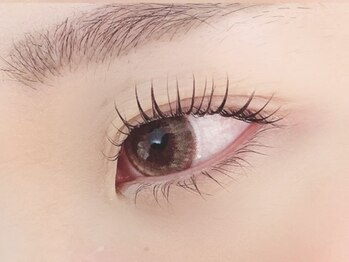 キャリコ(calico)/