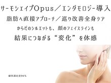 アネラ(ANELA)の雰囲気（脂肪分解×引き締めで小顔＆美肌）
