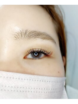 ルピナス 武蔵小金井店(Lupinus)/LEDフラットラッシュ140本