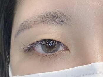 カラーリゾート Ai 葛西店/カラーフラットラッシュ