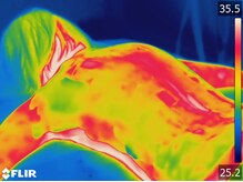 ワイサロン(Y salon)/マシーン施術後の冷え改善→→→