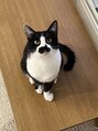 ビューティーサロン ココ 津島店(COCO) 我が家の猫ちゃん^^