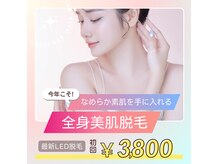 やどかり