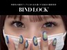 【モニター様価格】バインドロック80束・100束￥5500