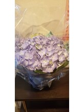 ウォーム(Warm)/お祝いありがとうございました。