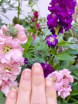 桃の木 吉祥寺店/自爪散歩 ストック