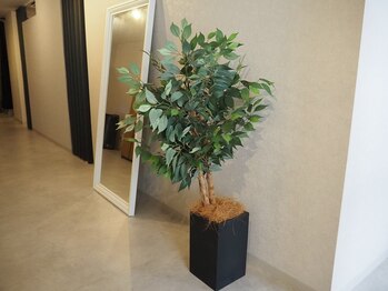 メンズトータルケアサロン ミナリヲ　蒲田店の写真/《メンズも脱毛する時代!!》清潔感を得たい男性はまずはひげ脱毛☆毎日の髭剃り不要でストレスから解放！