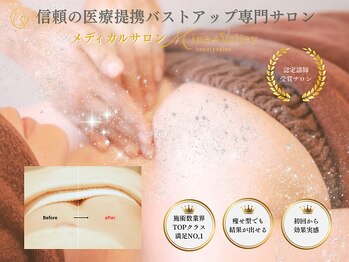 ミネアヴァリー(Mine A Valley)