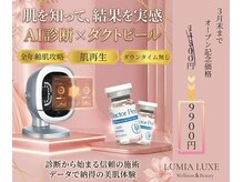 ルミアリュクス(LUMIA LUXE)