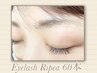 【1ヶ月以内】リペア60本
