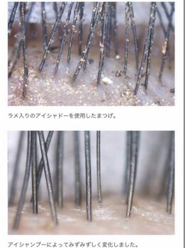 バンビズルーム(Bambi's Room)/アイシャンプー