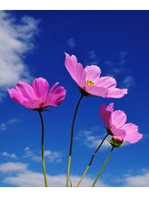 総合リラクゼーション パワーオン 新店&nbsp;スタッフ 森山