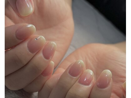ローレル(Laurel)の写真