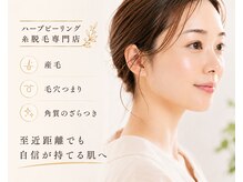アップル マリー 札幌桑園
