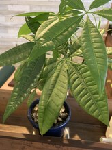 リラクゼーション ヒーリング/