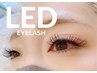 【圧倒的な持続力1.5倍～2倍】最新技術☆LED×フラットラッシュ　80本