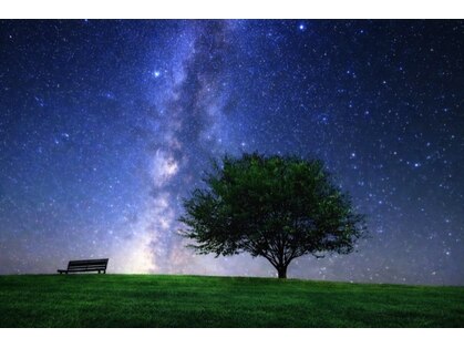 ヘッドステラ 吉祥寺(Head Stellar)の写真