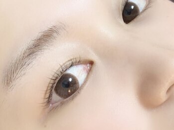 キャリコ(calico)/