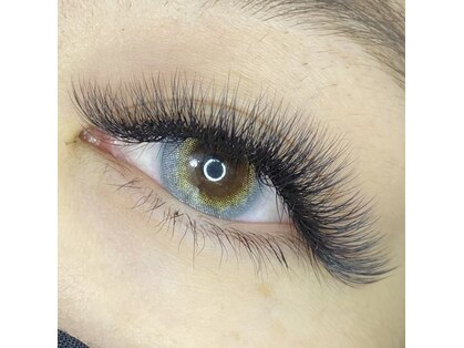 アイラッシュブルー(Eyelash BLUE)の写真