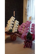 ランポ(Lampo)/開店お祝い♪