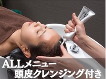 ストリクス(STRIX)の雰囲気（毛穴汚れをリセット｜before/afterはフォトギャラリーで確認）