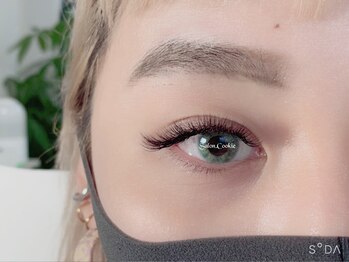 サロンドットクッキー 大阪九条(Salon.Cookie)/バインドロック140束(560本)