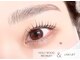 エクリュ アイラッシュ(ecru eyelash)の写真