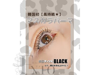 エント(Ento)の写真