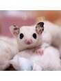 ヴィア 名古屋駅前店(via) モモンガ飼ってます:)♪毎日癒されてます!